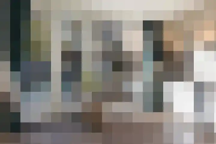 Rietdekkersdreef 916 Apeldoorn thumbnail 10