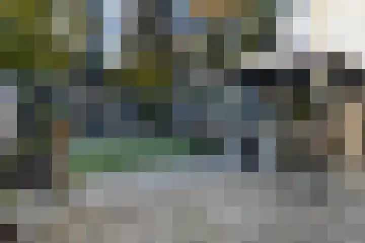 Rietdekkersdreef 916 Apeldoorn thumbnail 14