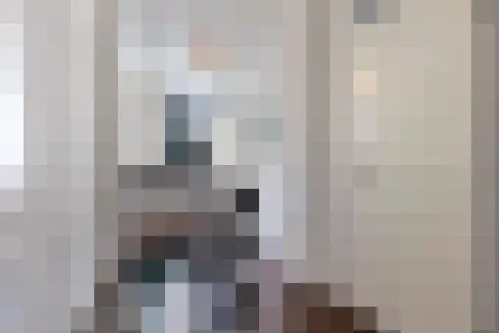 Rietdekkersdreef 916 Apeldoorn thumbnail 18