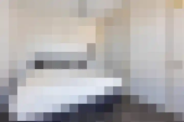 Rietdekkersdreef 916 Apeldoorn thumbnail 21