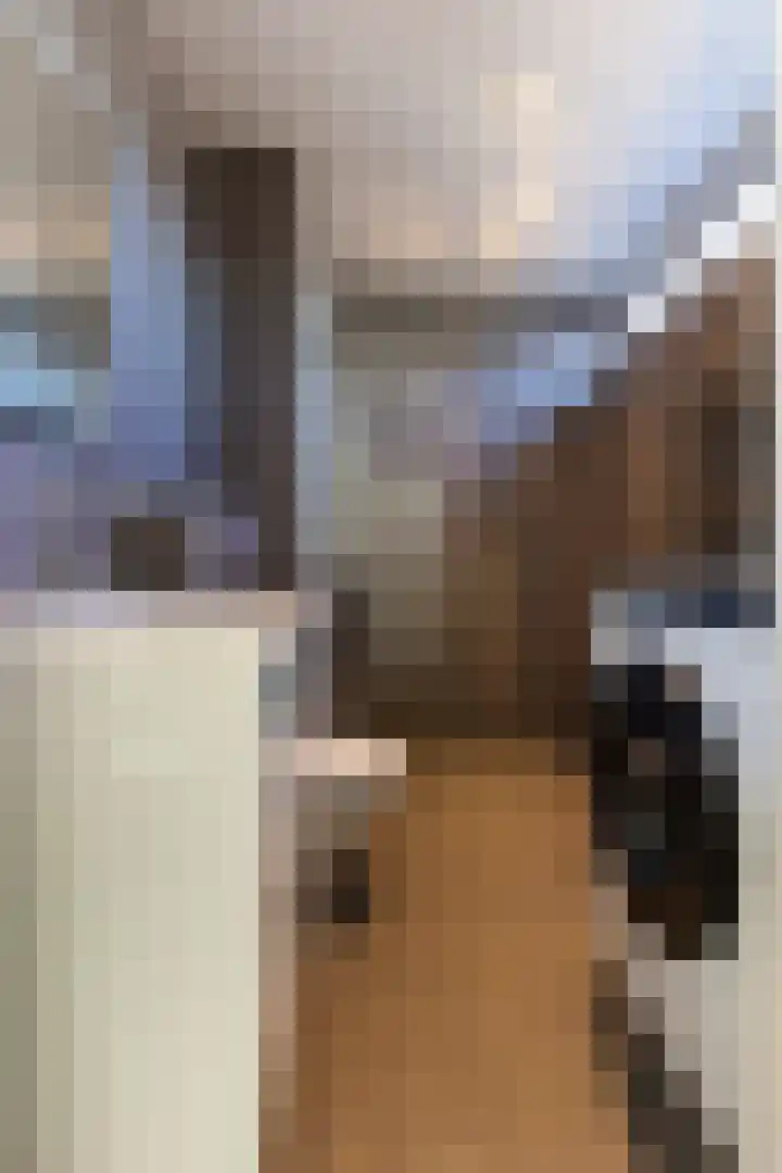 Rietdekkersdreef 916 Apeldoorn thumbnail 23