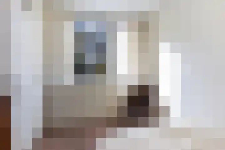 Rietdekkersdreef 916 Apeldoorn thumbnail 25