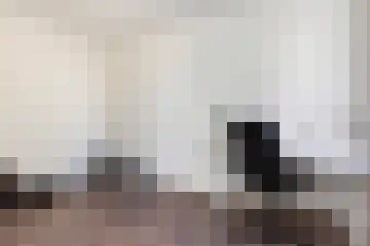 Rietdekkersdreef 916 Apeldoorn thumbnail 26