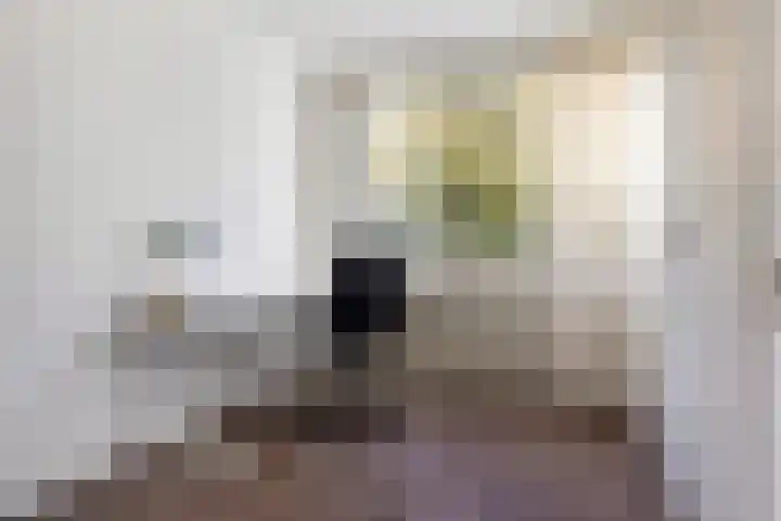 Rietdekkersdreef 916 Apeldoorn thumbnail 27