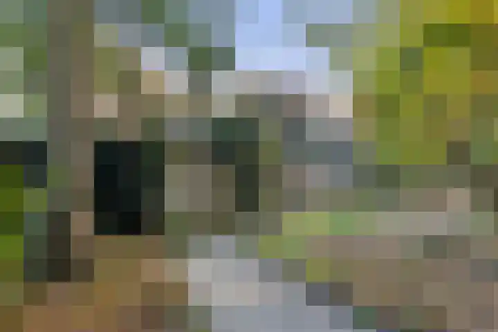 Rietdekkersdreef 916 Apeldoorn thumbnail 31