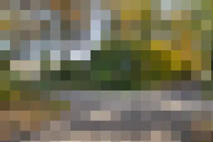 Rietdekkersdreef 916 Apeldoorn thumbnail 32