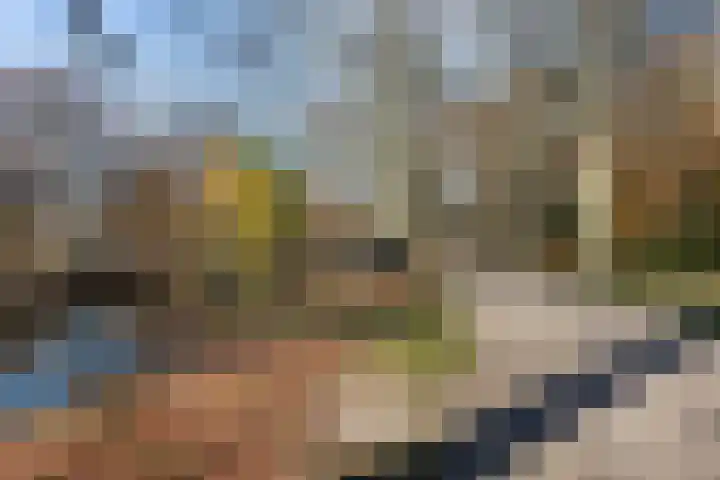 Rietdekkersdreef 916 Apeldoorn thumbnail 33