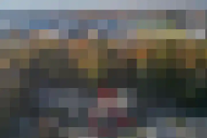 Rietdekkersdreef 916 Apeldoorn thumbnail 34