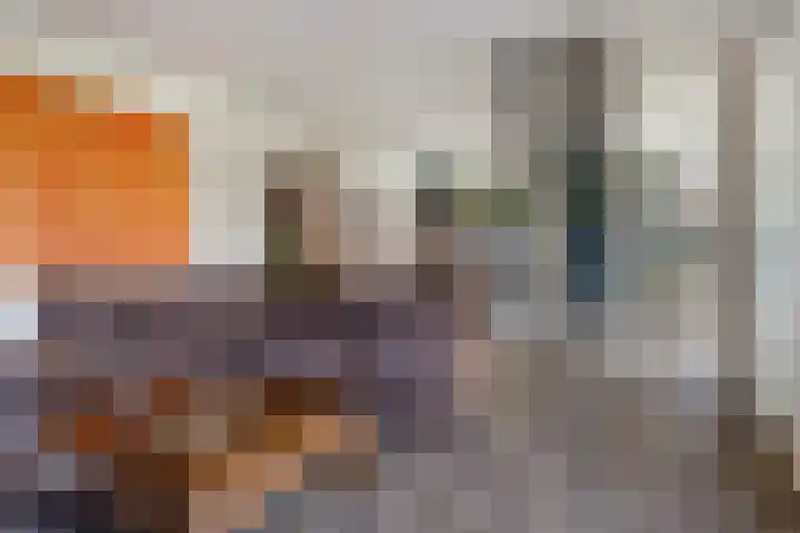 Rietdekkersdreef 916 Apeldoorn thumbnail 6