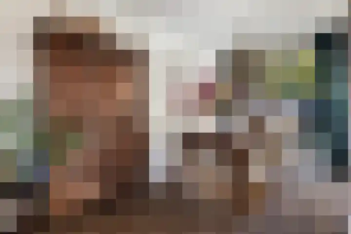Rietdekkersdreef 916 Apeldoorn thumbnail 7