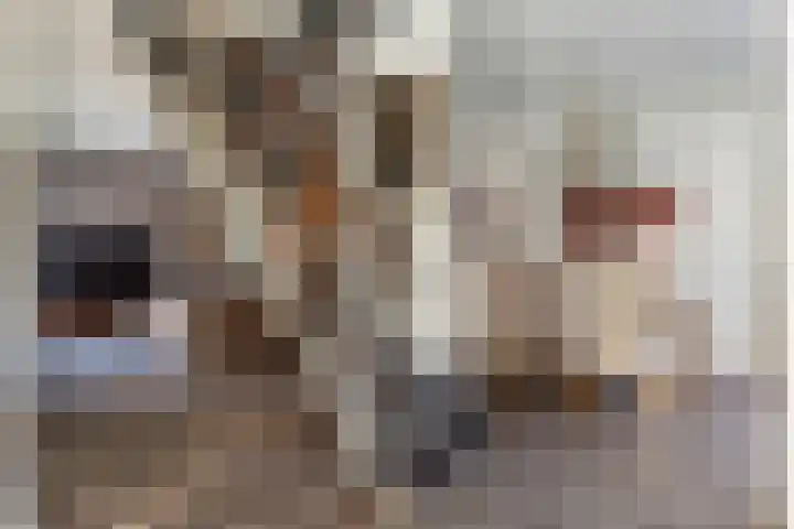 Rietdekkersdreef 916 Apeldoorn thumbnail 8