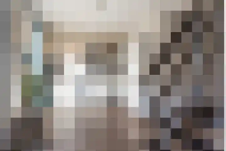Rietdekkersdreef 916 Apeldoorn thumbnail 9