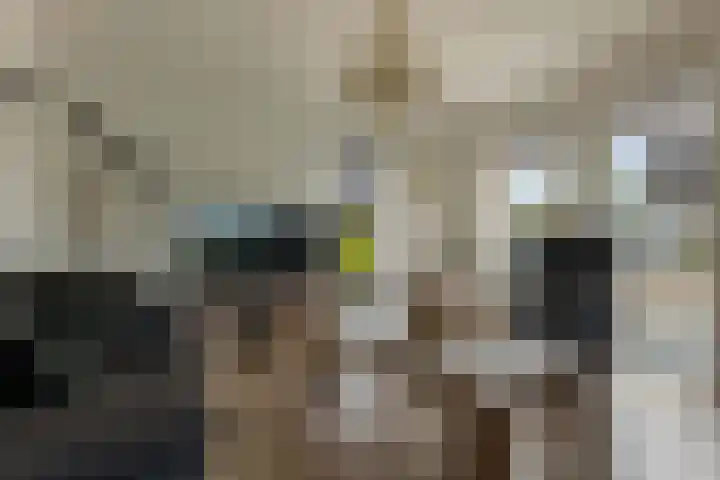 Rietdekkershof 22 Veendam thumbnail 10