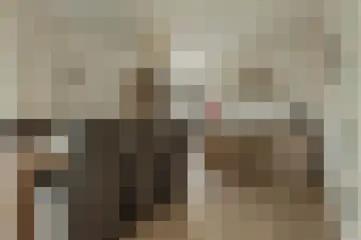 Rietdekkershof 22 Veendam thumbnail 12