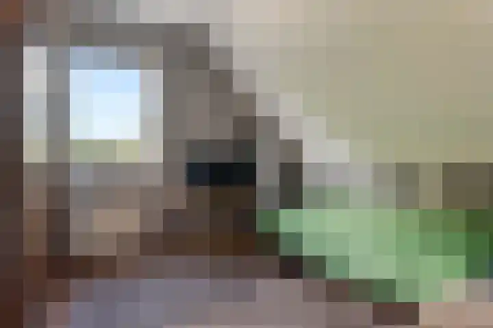 Rietdekkershof 22 Veendam thumbnail 18