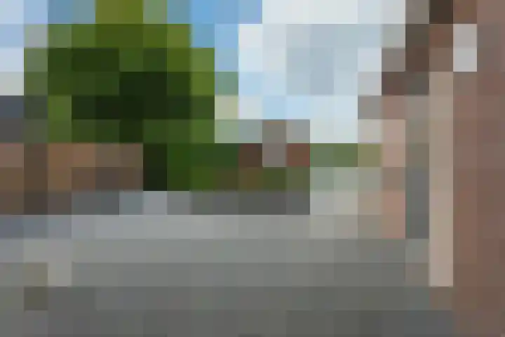 Rietdekkershof 22 Veendam thumbnail 28