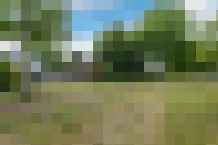 Rietdekkershof 22 Veendam thumbnail 32