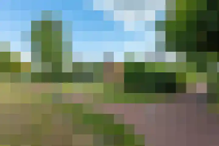 Rietdekkershof 22 Veendam thumbnail 33