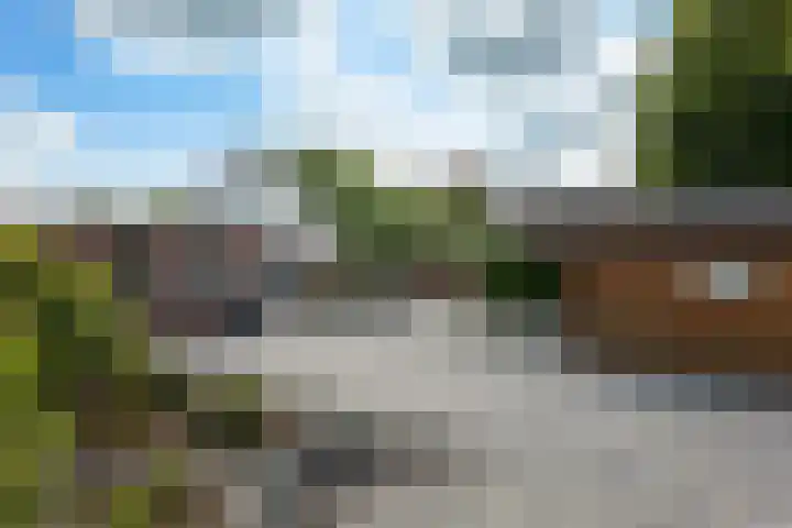 Rietdekkershof 22 Veendam thumbnail 5