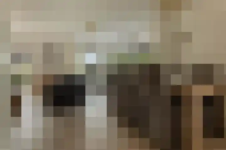 Rietdekkershof 22 Veendam thumbnail 8