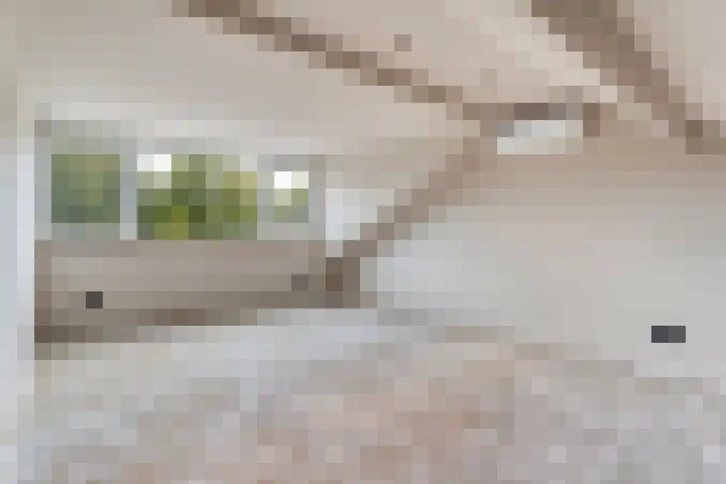 Rietdekkershof 25 Nieuw-Dordrecht thumbnail 31