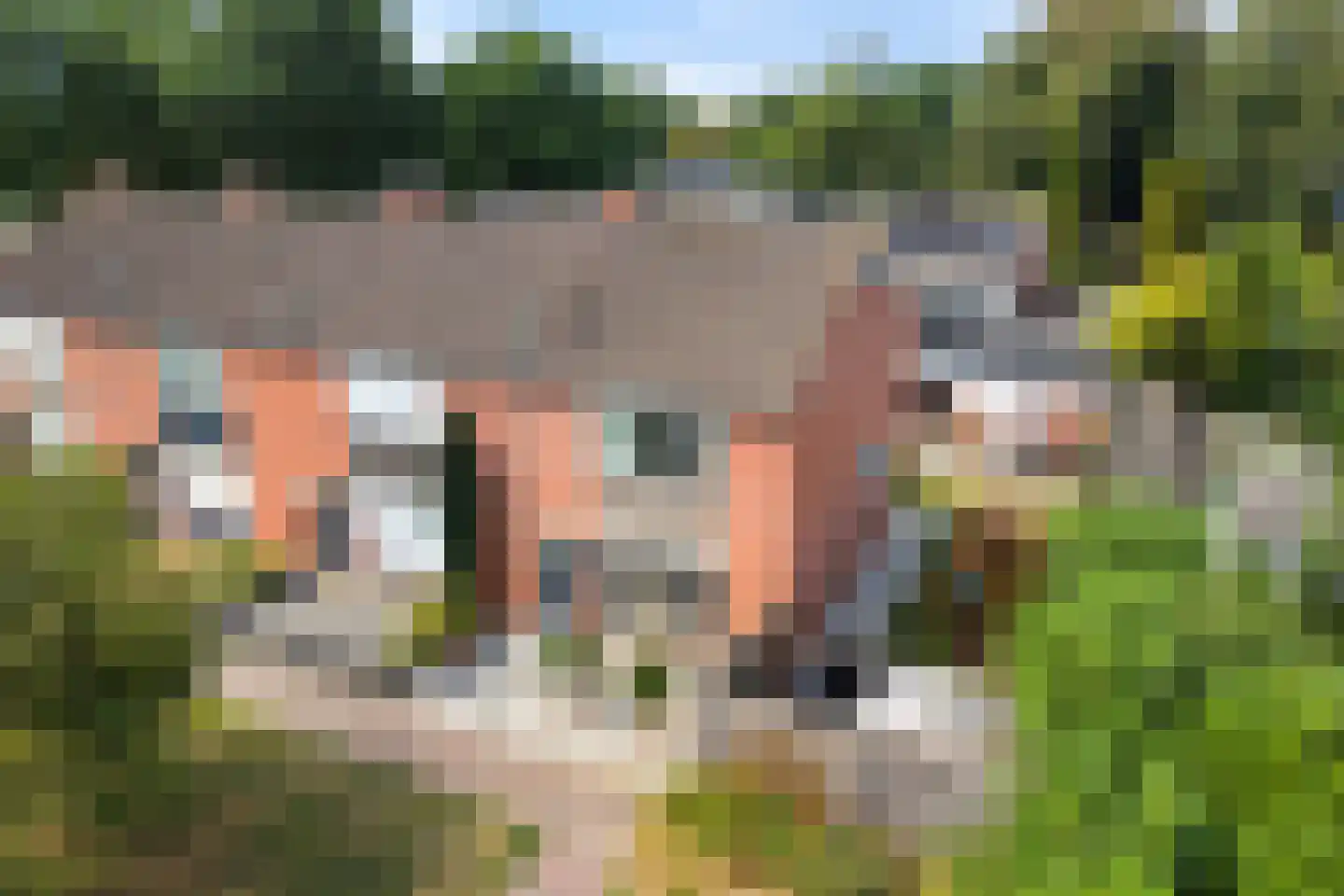 Rietdekkershof 25 Nieuw-Dordrecht thumbnail 50