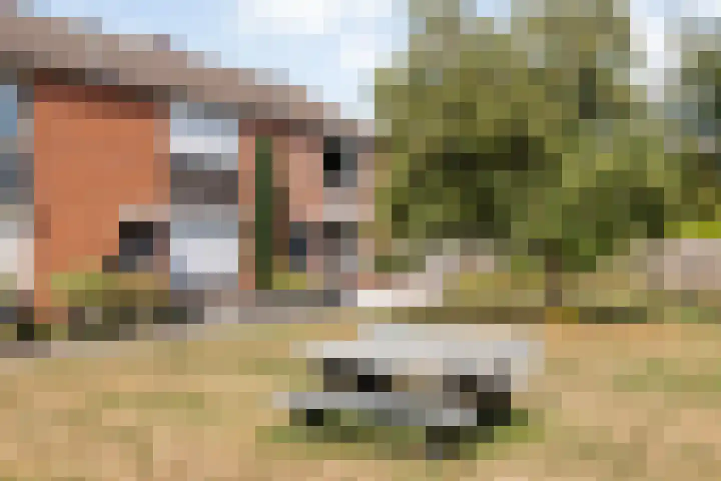 Rietdekkershof 25 Nieuw-Dordrecht thumbnail 58