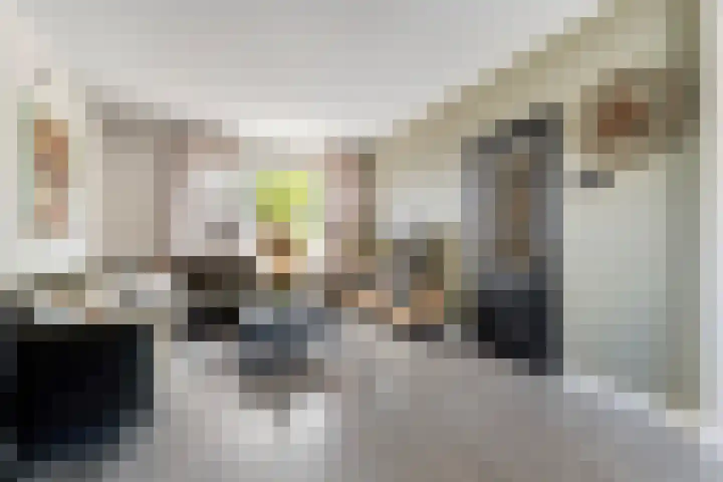 Rietdekkershof 25 Nieuw-Dordrecht thumbnail 9