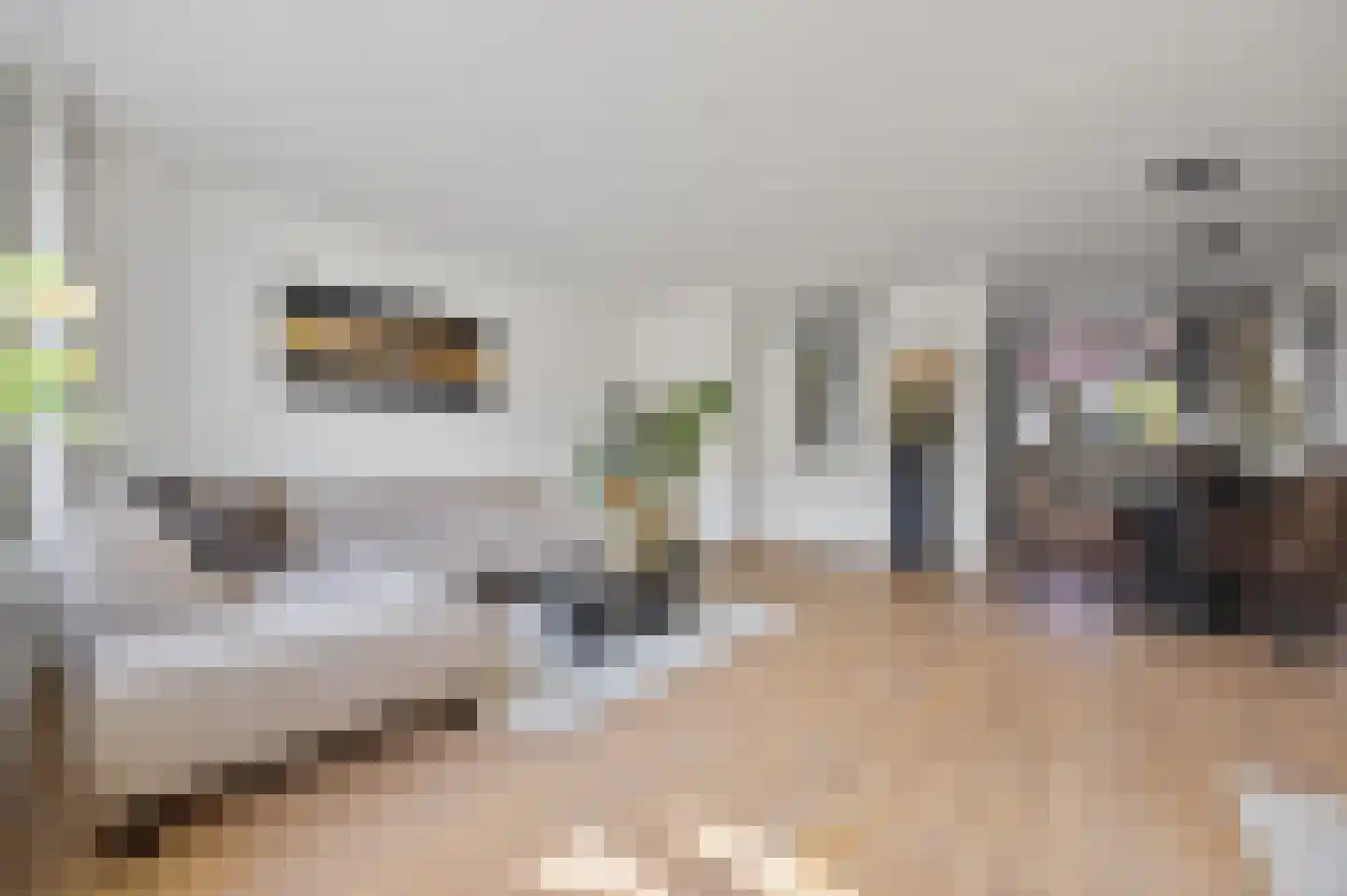 Rietdekkerslaan 52 Voorthuizen thumbnail 10