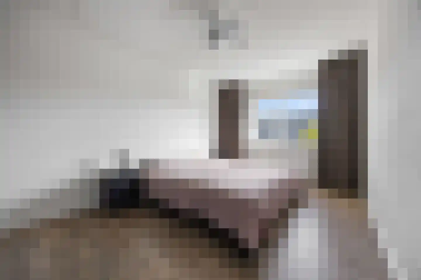 Rietdekkerslaan 52 Voorthuizen thumbnail 21