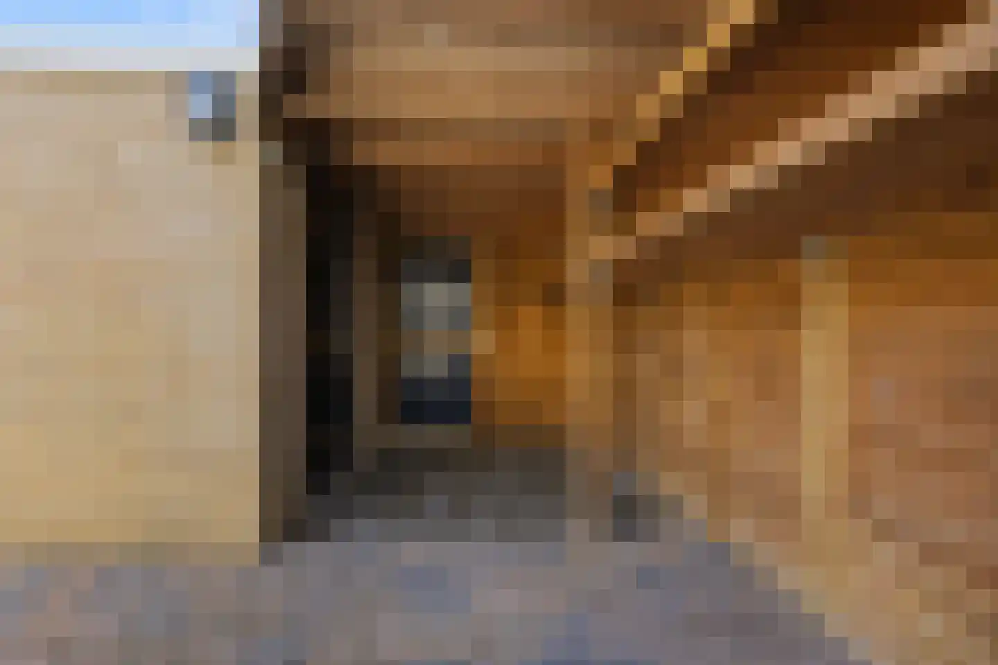 Rietdekkerslaan 52 Voorthuizen thumbnail 34