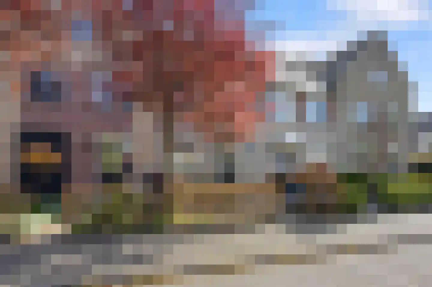 Rietdekkerslaan 52 Voorthuizen thumbnail 36