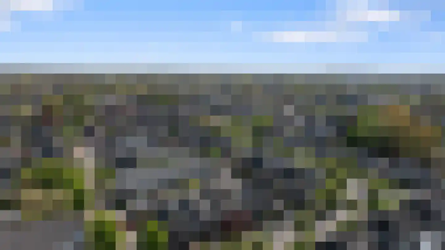 Rietdekkerslaan 52 Voorthuizen thumbnail 4