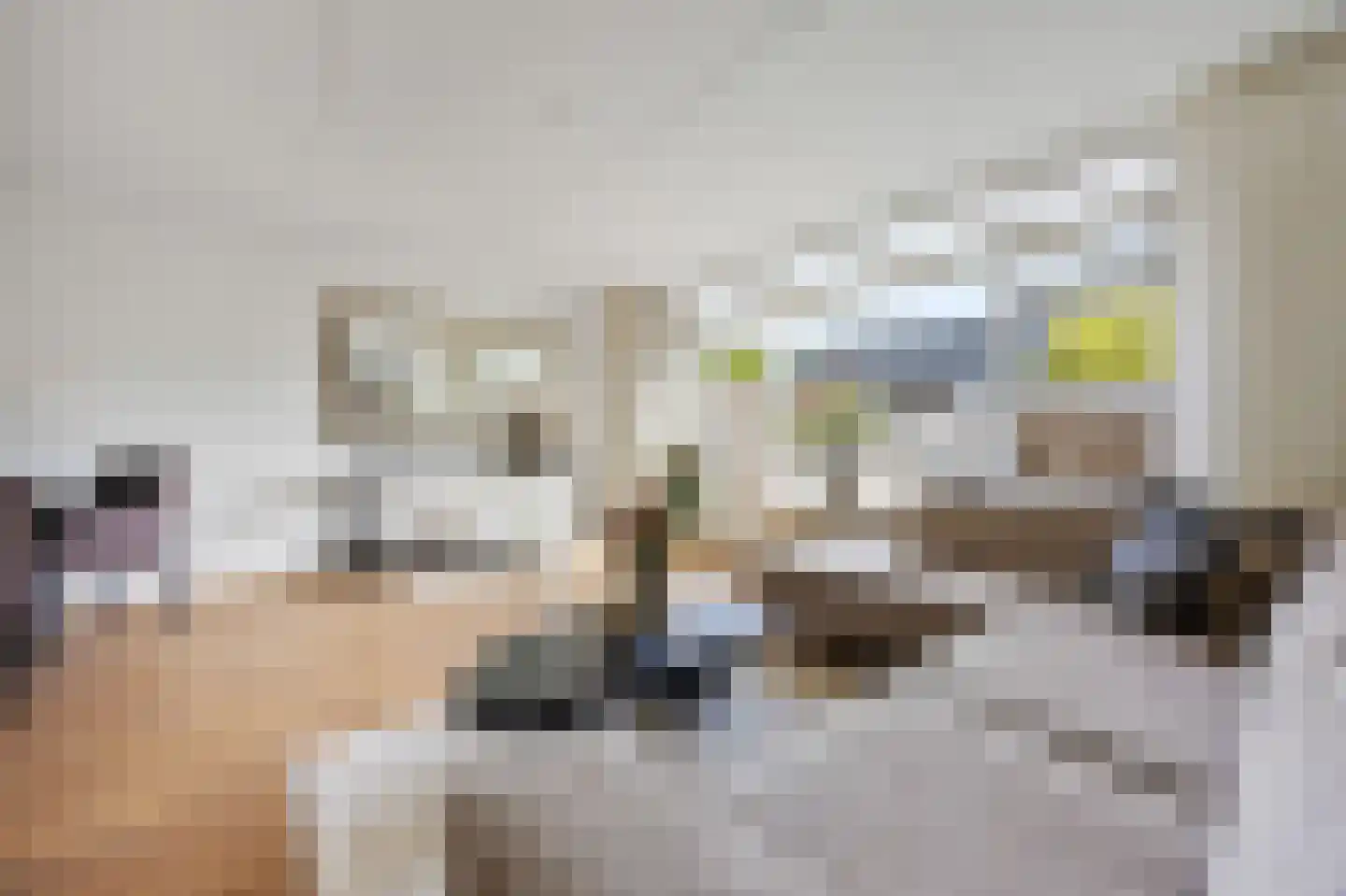 Rietdekkerslaan 52 Voorthuizen thumbnail 9