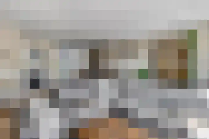 Rietdekkerslaan 54 Voorthuizen thumbnail 10