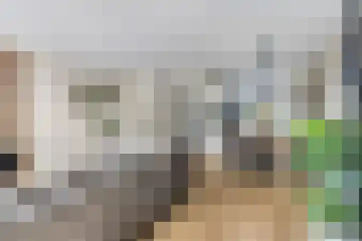 Rietdekkerslaan 54 Voorthuizen thumbnail 12