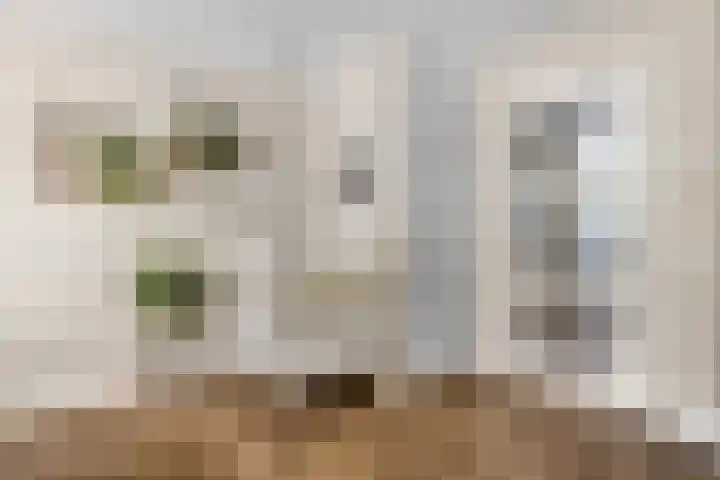 Rietdekkerslaan 54 Voorthuizen thumbnail 13