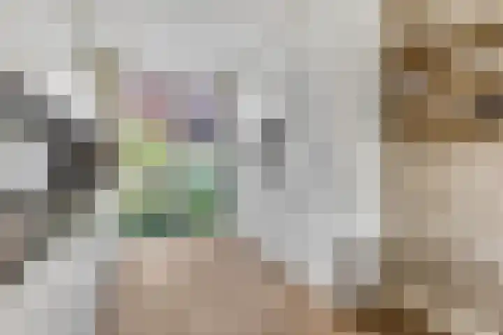 Rietdekkerslaan 54 Voorthuizen thumbnail 15