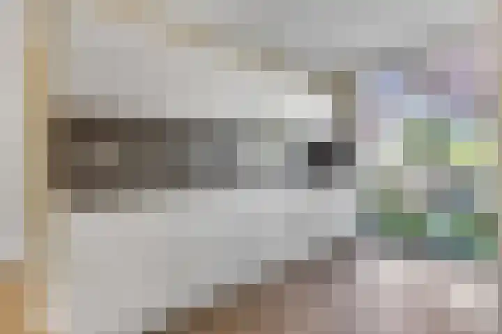 Rietdekkerslaan 54 Voorthuizen thumbnail 16