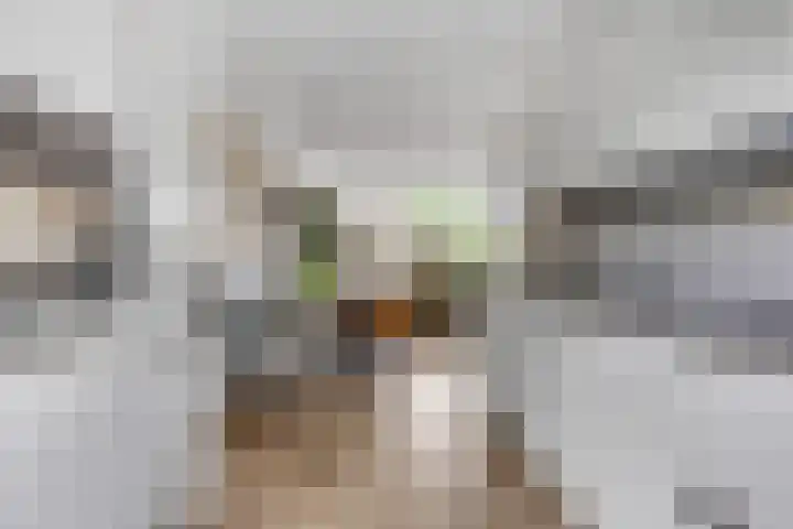 Rietdekkerslaan 54 Voorthuizen thumbnail 17