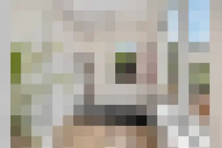Rietdekkerslaan 54 Voorthuizen thumbnail 19
