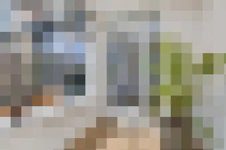 Rietdekkerslaan 54 Voorthuizen thumbnail 20