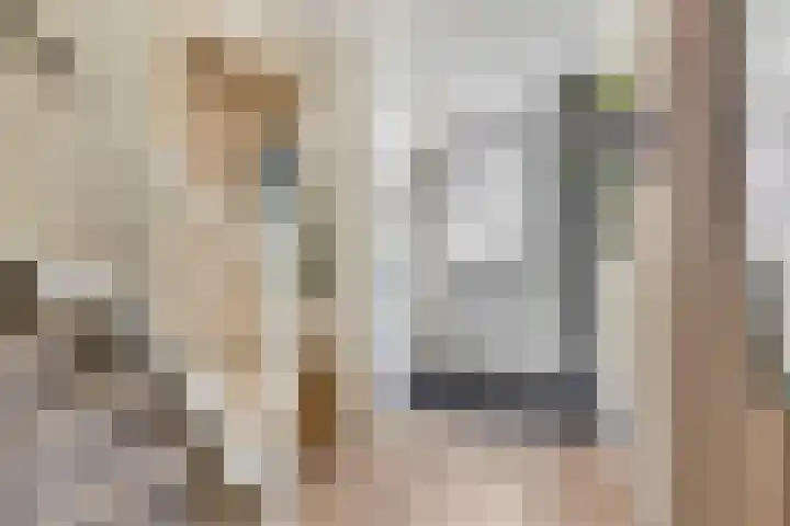 Rietdekkerslaan 54 Voorthuizen thumbnail 22