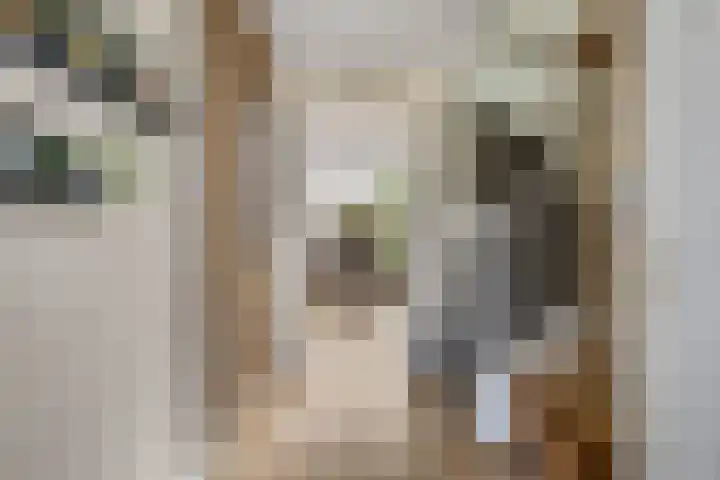 Rietdekkerslaan 54 Voorthuizen thumbnail 23