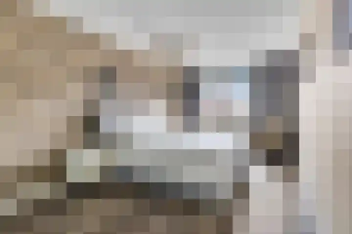 Rietdekkerslaan 54 Voorthuizen thumbnail 28