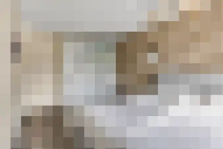 Rietdekkerslaan 54 Voorthuizen thumbnail 30