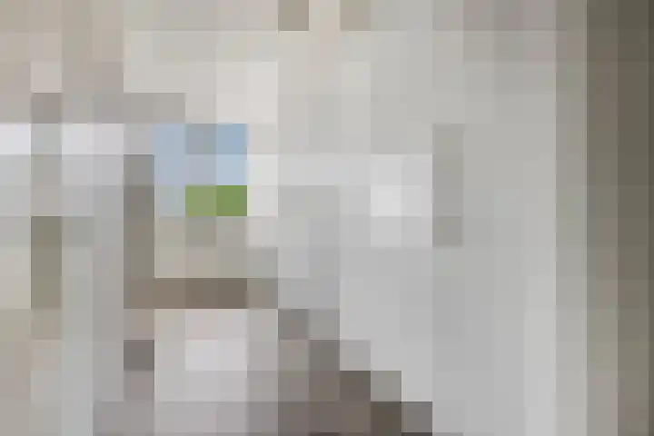 Rietdekkerslaan 54 Voorthuizen thumbnail 32