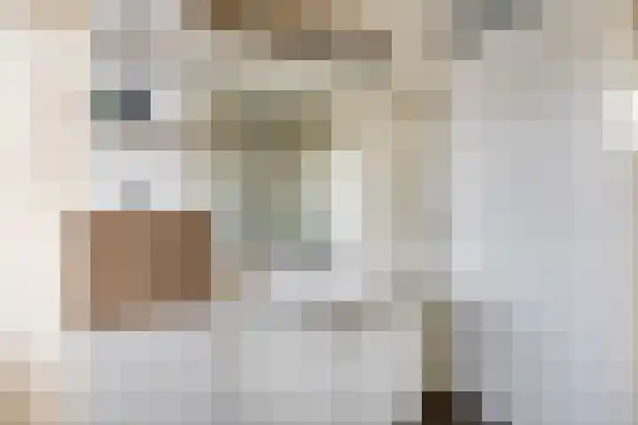 Rietdekkerslaan 54 Voorthuizen thumbnail 33