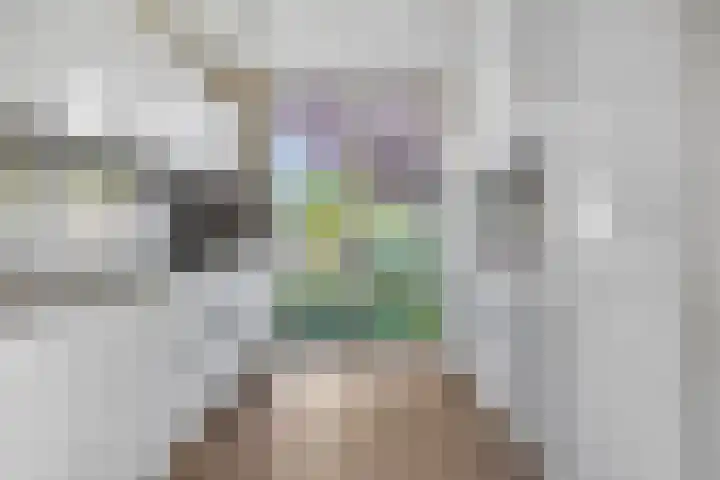 Rietdekkerslaan 54 Voorthuizen thumbnail 4