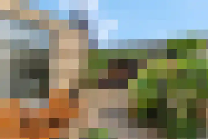 Rietdekkerslaan 54 Voorthuizen thumbnail 46